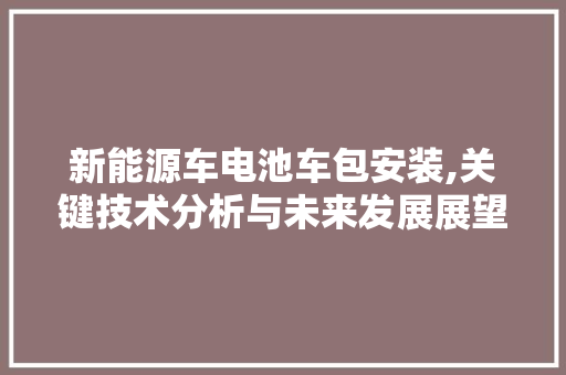 新能源车电池车包安装,关键技术分析与未来发展展望 车身配件