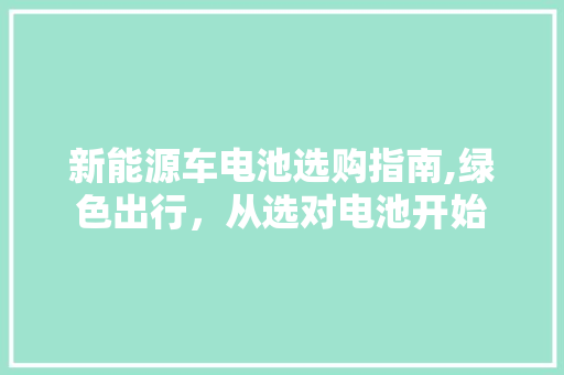 新能源车电池选购指南,绿色出行，从选对电池开始