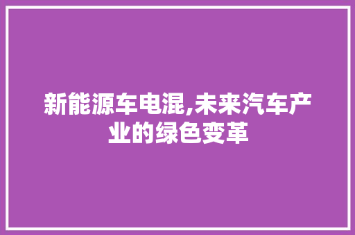 新能源车电混,未来汽车产业的绿色变革 蓄电池配件