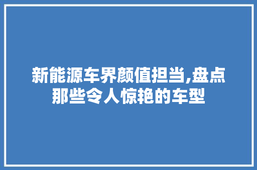 新能源车界颜值担当,盘点那些令人惊艳的车型