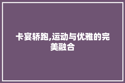 卡宴轿跑,运动与优雅的完美融合