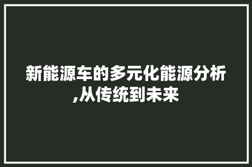 新能源车的多元化能源分析,从传统到未来