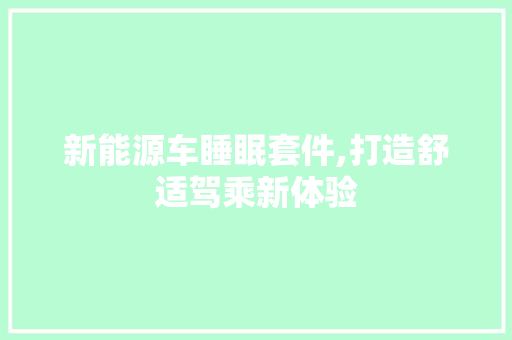 新能源车睡眠套件,打造舒适驾乘新体验