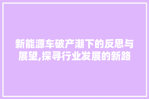 新能源车破产潮下的反思与展望,探寻行业发展的新路径