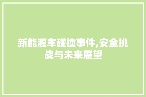 新能源车碰撞事件,安全挑战与未来展望