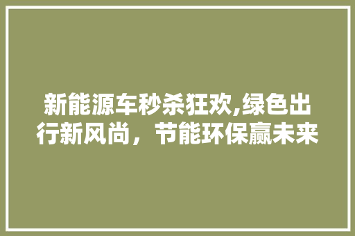 新能源车秒杀狂欢,绿色出行新风尚，节能环保赢未来