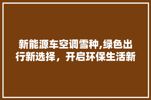 新能源车空调雪种,绿色出行新选择，开启环保生活新篇章