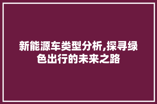新能源车类型分析,探寻绿色出行的未来之路