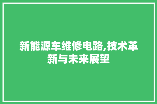新能源车维修电路,技术革新与未来展望