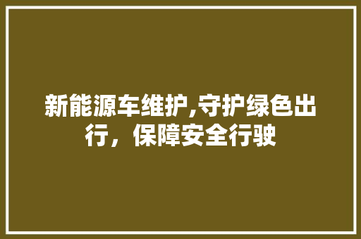 新能源车维护,守护绿色出行，保障安全行驶