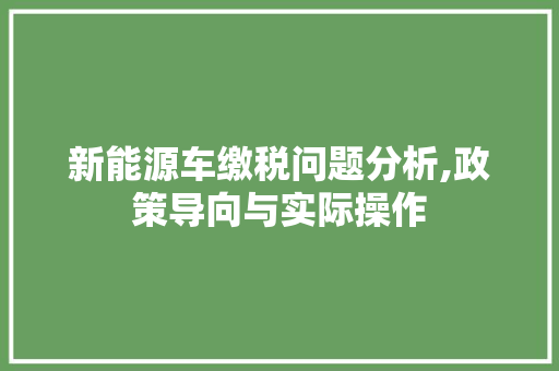新能源车缴税问题分析,政策导向与实际操作