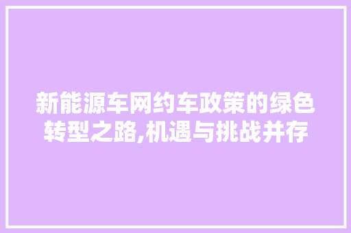 新能源车网约车政策的绿色转型之路,机遇与挑战并存