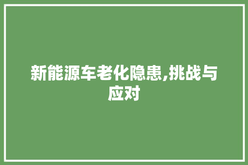 新能源车老化隐患,挑战与应对