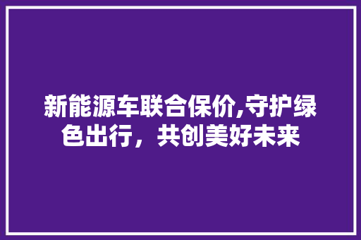 新能源车联合保价,守护绿色出行，共创美好未来
