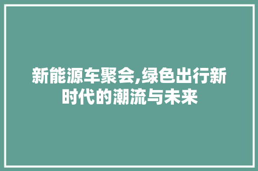 新能源车聚会,绿色出行新时代的潮流与未来