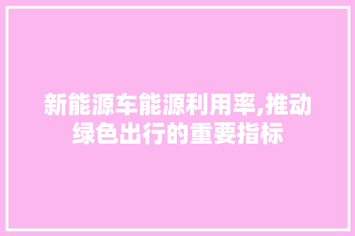 新能源车能源利用率,推动绿色出行的重要指标