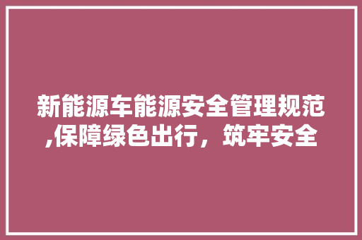 新能源车能源安全管理规范,保障绿色出行，筑牢安全防线