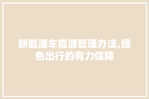 新能源车能源管理办法,绿色出行的有力保障