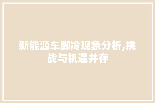 新能源车脚冷现象分析,挑战与机遇并存