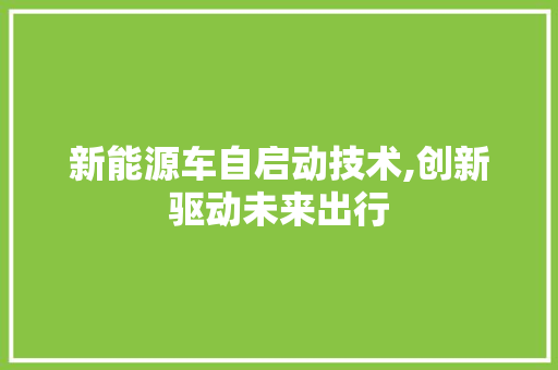新能源车自启动技术,创新驱动未来出行