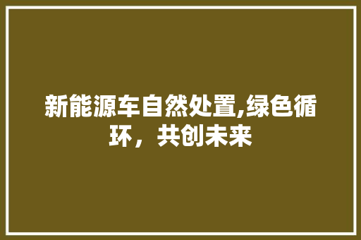 新能源车自然处置,绿色循环，共创未来