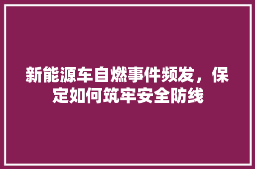 新能源车自燃事件频发，保定如何筑牢安全防线