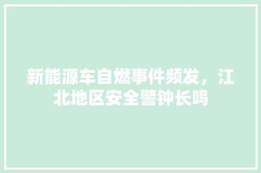 新能源车自燃事件频发，江北地区安全警钟长鸣