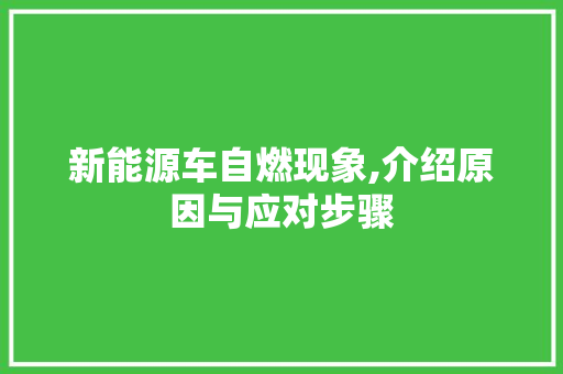 新能源车自燃现象,介绍原因与应对步骤