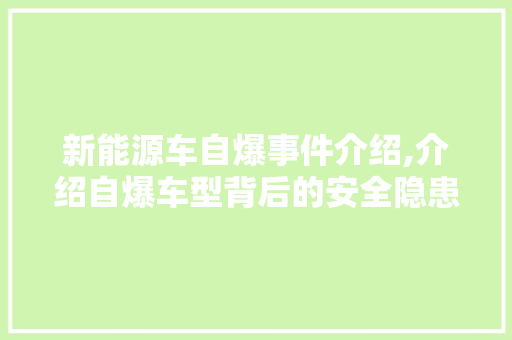 新能源车自爆事件介绍,介绍自爆车型背后的安全隐患