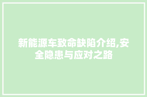 新能源车致命缺陷介绍,安全隐患与应对之路