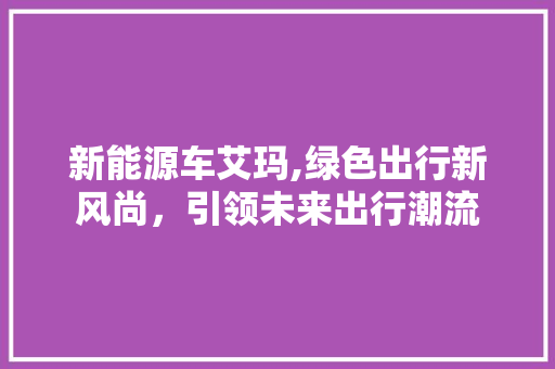 新能源车艾玛,绿色出行新风尚，引领未来出行潮流