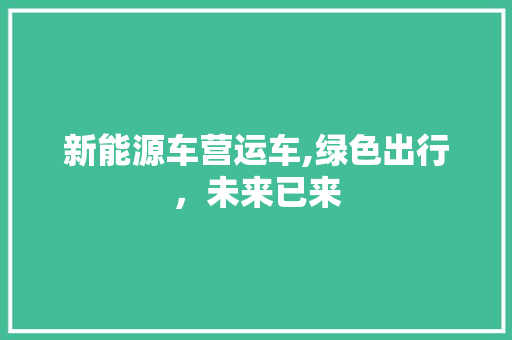 新能源车营运车,绿色出行，未来已来