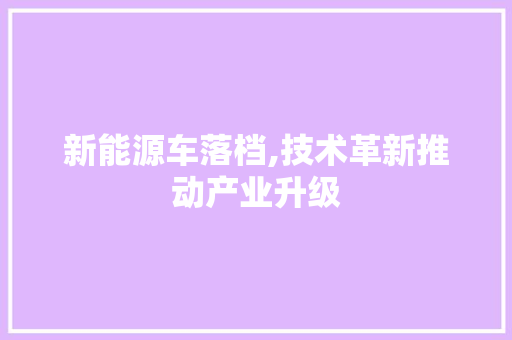 新能源车落档,技术革新推动产业升级