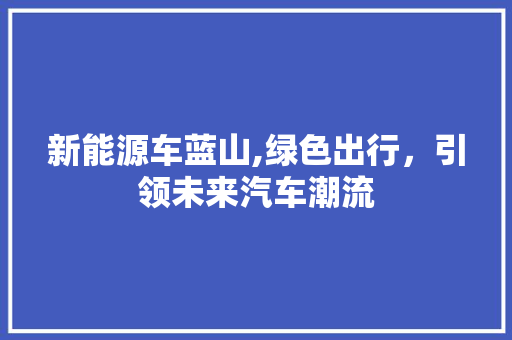 新能源车蓝山,绿色出行，引领未来汽车潮流