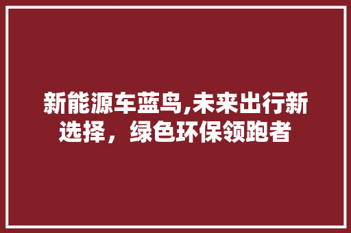 新能源车蓝鸟,未来出行新选择，绿色环保领跑者