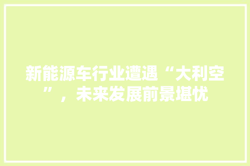 新能源车行业遭遇“大利空”，未来发展前景堪忧