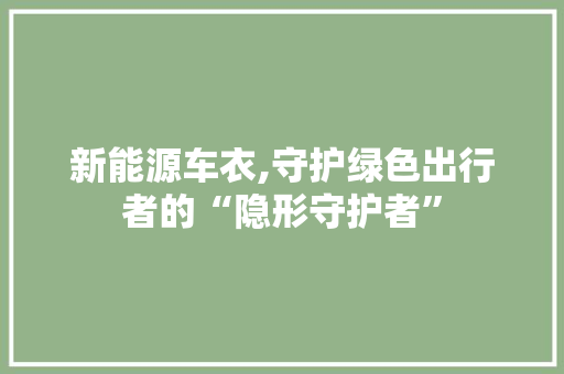新能源车衣,守护绿色出行者的“隐形守护者”