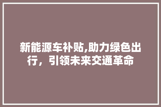 新能源车补贴,助力绿色出行，引领未来交通革命