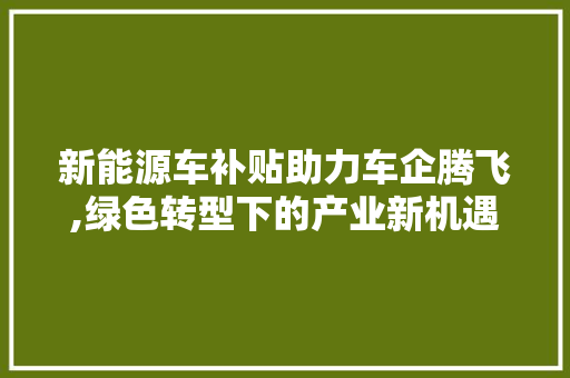 新能源车补贴助力车企腾飞,绿色转型下的产业新机遇