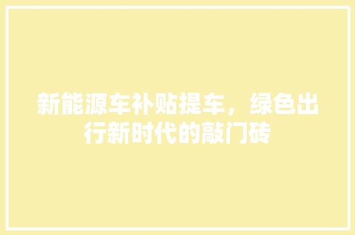 新能源车补贴提车，绿色出行新时代的敲门砖