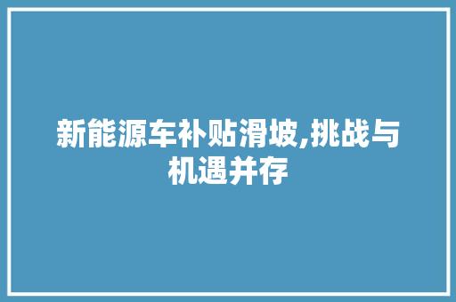 新能源车补贴滑坡,挑战与机遇并存