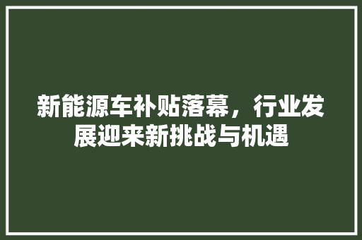 新能源车补贴落幕，行业发展迎来新挑战与机遇