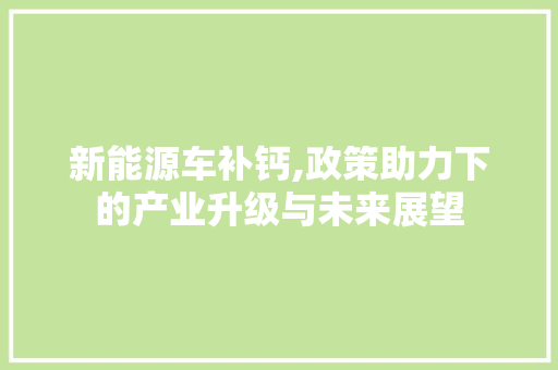 新能源车补钙,政策助力下的产业升级与未来展望