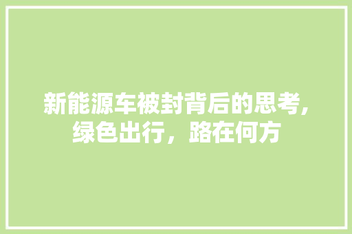 新能源车被封背后的思考,绿色出行，路在何方