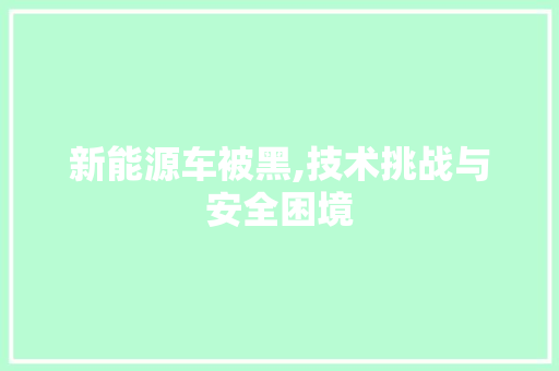 新能源车被黑,技术挑战与安全困境