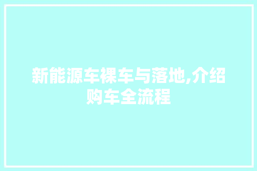 新能源车裸车与落地,介绍购车全流程