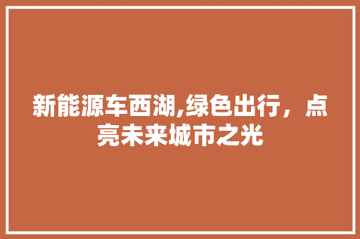 新能源车西湖,绿色出行，点亮未来城市之光