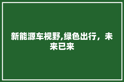 新能源车视野,绿色出行，未来已来