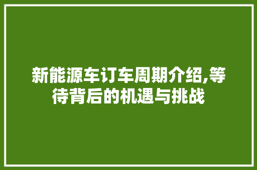 新能源车订车周期介绍,等待背后的机遇与挑战