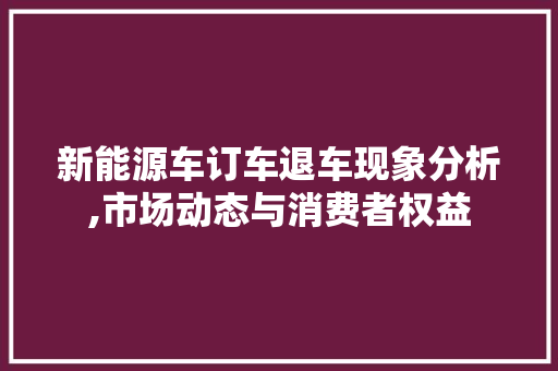 新能源车订车退车现象分析,市场动态与消费者权益